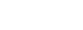 Lone Star State School Counselor Association logo
